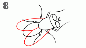 卡通蒼蠅<a href=http://www.inspiredelm.com/jianbihua/ target=_blank class=infotextkey>簡(jiǎn)筆畫</a>步驟圖片
