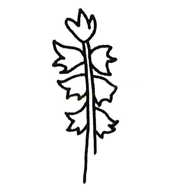 風(fēng)信子<a href=http://www.inspiredelm.com/jianbihua/ target=_blank class=infotextkey>簡筆畫</a>圖片怎么畫