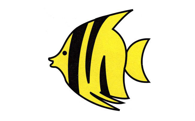 熱帶魚簡筆畫圖片彩色-漂亮的熱帶魚