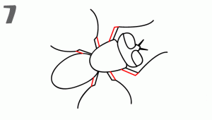 卡通蒼蠅<a href=http://www.inspiredelm.com/jianbihua/ target=_blank class=infotextkey>簡(jiǎn)筆畫</a>步驟圖片