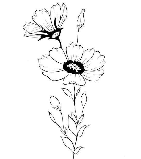 雛菊怎么畫<a href=http://www.inspiredelm.com/jianbihua/ target=_blank class=infotextkey>簡筆畫</a>,美麗的雛菊花,<a href=http://www.inspiredelm.com/jianbihua/ target=_blank class=infotextkey>簡筆畫</a>教程