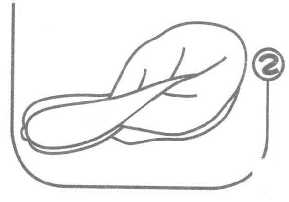 油菜的<a href=http://www.inspiredelm.com/jianbihua/ target=_blank class=infotextkey>簡筆畫</a>圖片步驟