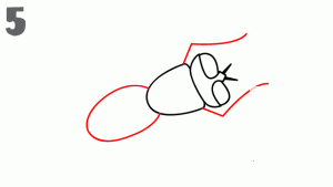 卡通蒼蠅<a href=http://www.inspiredelm.com/jianbihua/ target=_blank class=infotextkey>簡(jiǎn)筆畫</a>步驟圖片