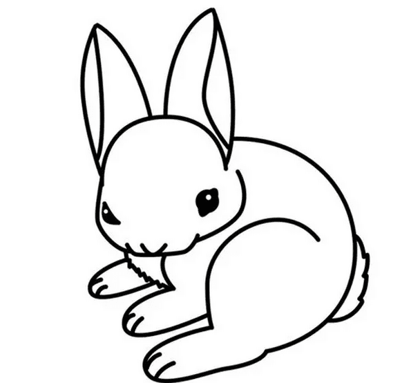 小兔子<a href=http://www.inspiredelm.com/jianbihua/ target=_blank class=infotextkey>簡筆畫</a>繪畫教程圖解