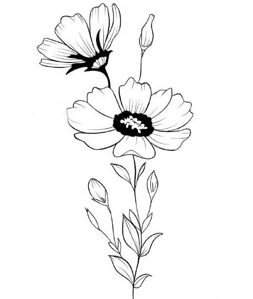 雛菊怎么畫<a href=http://www.inspiredelm.com/jianbihua/ target=_blank class=infotextkey>簡筆畫</a>,美麗的雛菊花,<a href=http://www.inspiredelm.com/jianbihua/ target=_blank class=infotextkey>簡筆畫</a>教程