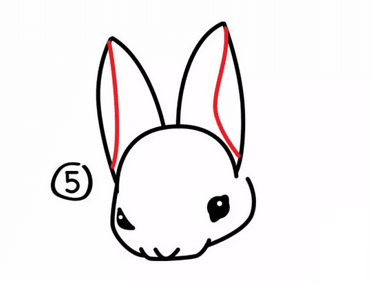小兔子<a href=http://www.inspiredelm.com/jianbihua/ target=_blank class=infotextkey>簡筆畫</a>繪畫教程圖解