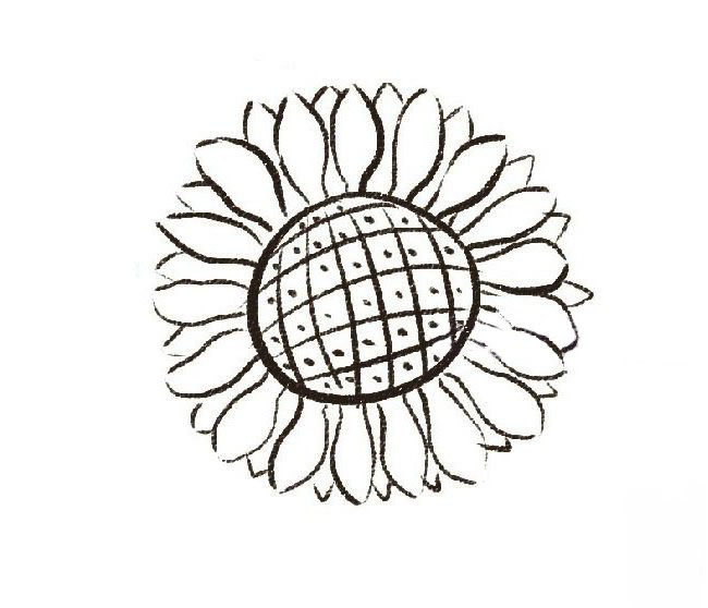 畫太陽花的<a href=http://www.inspiredelm.com/jianbihua/ target=_blank class=infotextkey>簡筆畫</a>-彩色的向日葵