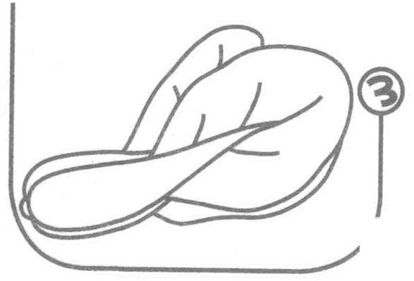 油菜的<a href=http://www.inspiredelm.com/jianbihua/ target=_blank class=infotextkey>簡筆畫</a>圖片步驟