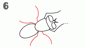 卡通蒼蠅<a href=http://www.inspiredelm.com/jianbihua/ target=_blank class=infotextkey>簡(jiǎn)筆畫</a>步驟圖片