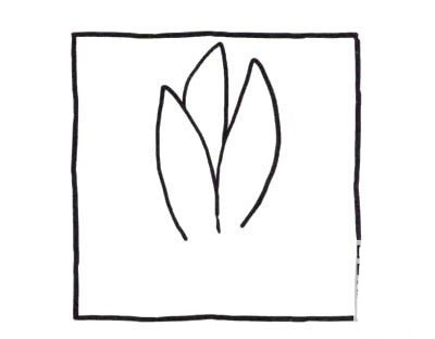 虎皮蘭的<a href=http://www.inspiredelm.com/jianbihua/ target=_blank class=infotextkey>簡(jiǎn)筆畫</a>怎么畫