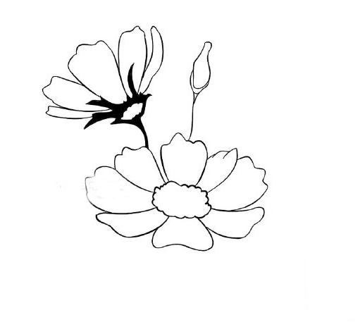 雛菊怎么畫<a href=http://www.inspiredelm.com/jianbihua/ target=_blank class=infotextkey>簡筆畫</a>,美麗的雛菊花,<a href=http://www.inspiredelm.com/jianbihua/ target=_blank class=infotextkey>簡筆畫</a>教程