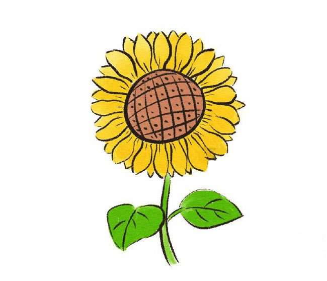 畫太陽花的<a href=http://www.inspiredelm.com/jianbihua/ target=_blank class=infotextkey>簡筆畫</a>-彩色的向日葵