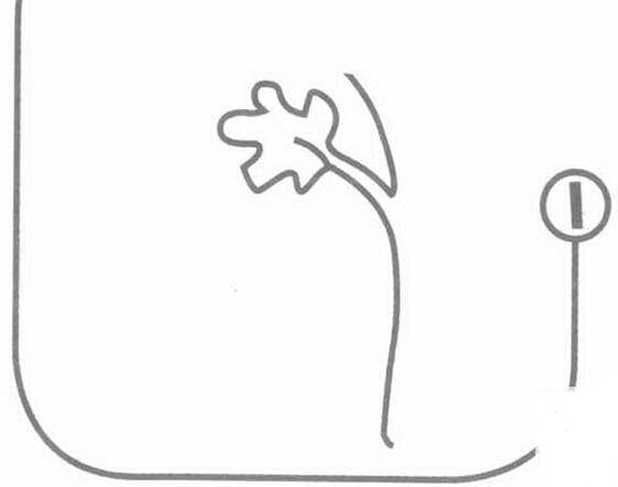香菜的<a href=http://www.inspiredelm.com/jianbihua/ target=_blank class=infotextkey>簡筆畫</a>步驟圖片
