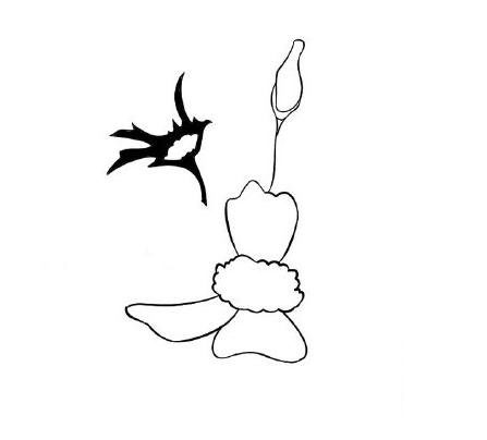 雛菊怎么畫<a href=http://www.inspiredelm.com/jianbihua/ target=_blank class=infotextkey>簡筆畫</a>,美麗的雛菊花,<a href=http://www.inspiredelm.com/jianbihua/ target=_blank class=infotextkey>簡筆畫</a>教程