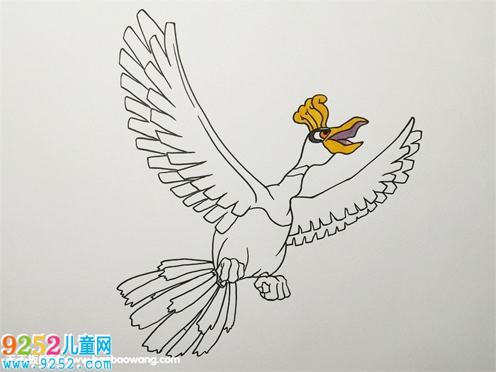 神奇寶貝鳳王怎么畫