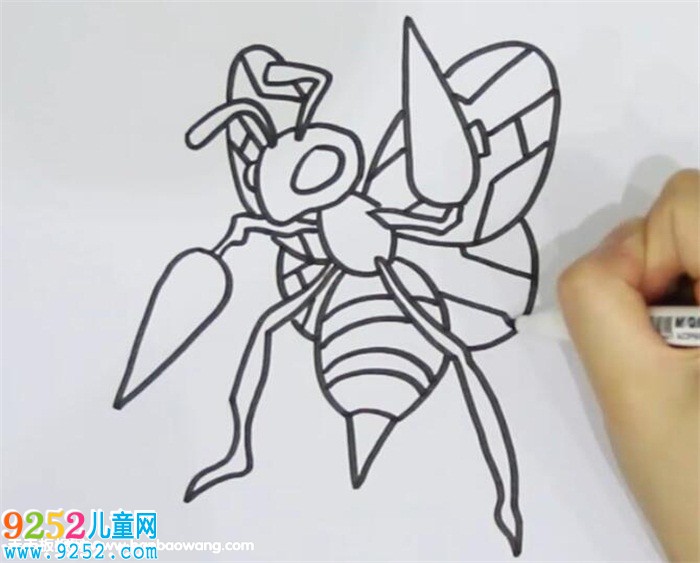 大針蜂<a href=http://www.inspiredelm.com/jianbihua/ target=_blank class=infotextkey>簡(jiǎn)筆畫</a>