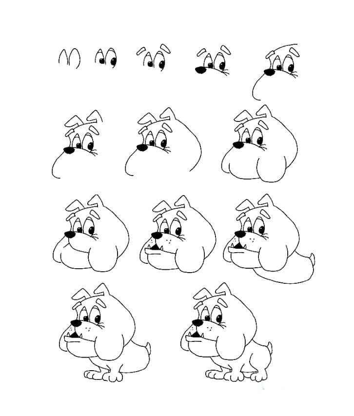可愛的泰克卡通小狗<a href=http://www.inspiredelm.com/jianbihua/ target=_blank class=infotextkey>簡筆畫</a>教程分享
