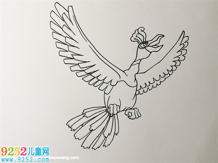 神奇寶貝鳳王怎么畫
