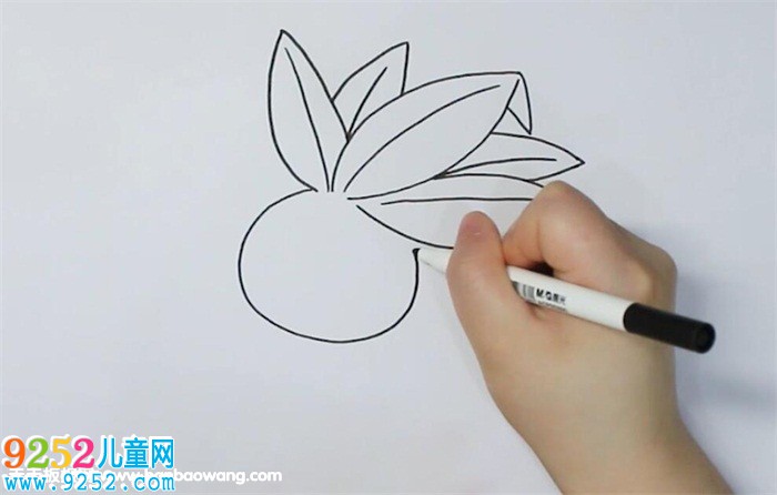 走路草<a href=http://www.inspiredelm.com/jianbihua/ target=_blank class=infotextkey>簡(jiǎn)筆畫(huà)</a>