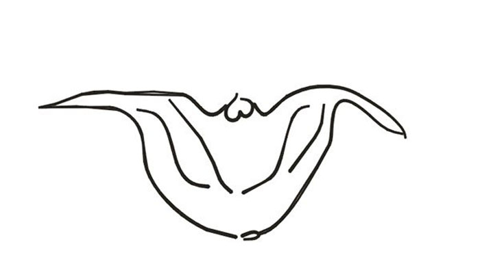 簡(jiǎn)單的菱角簡(jiǎn)筆畫