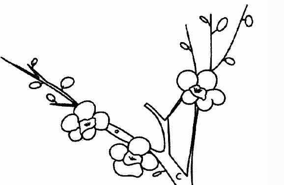 梅花植物簡筆