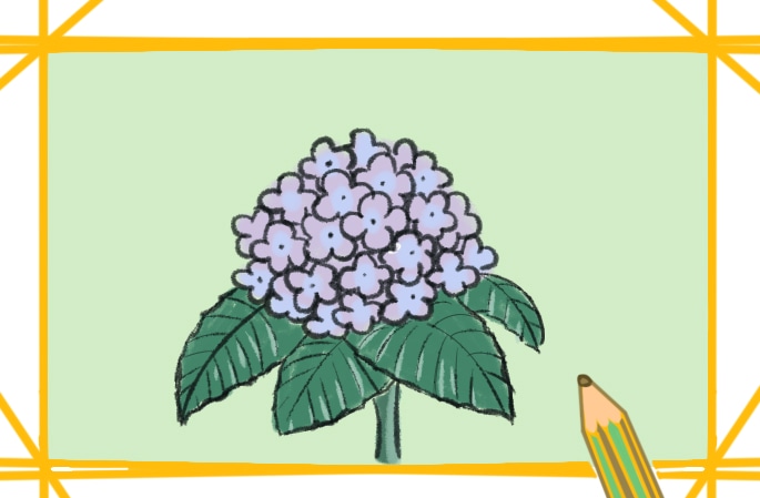 漂亮的繡球花<a href=http://www.inspiredelm.com/jianbihua/ target=_blank class=infotextkey>簡筆畫</a>圖片怎么畫