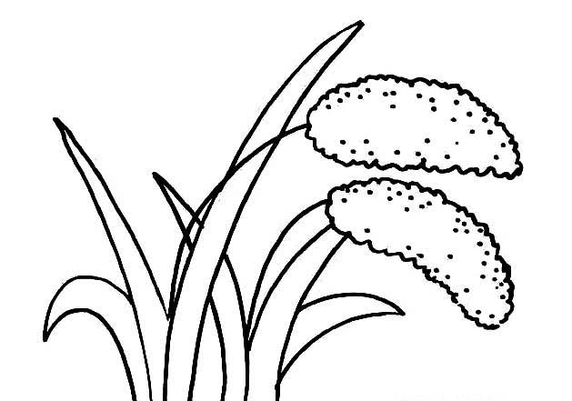 秋天農(nóng)作物簡(jiǎn)筆