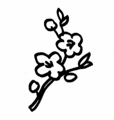桃花花瓣簡筆