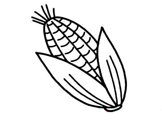 玉米兒童簡筆