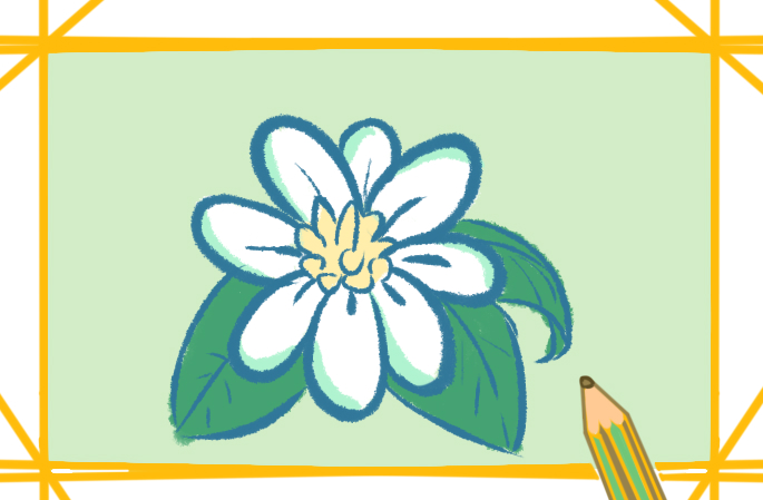 美麗的白花上色簡(jiǎn)筆畫(huà)要怎么畫(huà)？