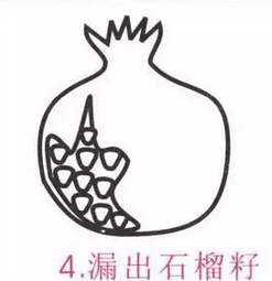 2種石榴簡(jiǎn)筆 畫(huà)法