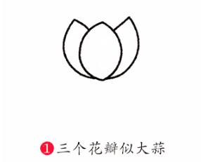 彩色荷花簡筆步驟