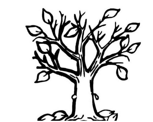 簡(jiǎn)單漂亮的楓樹簡(jiǎn)筆