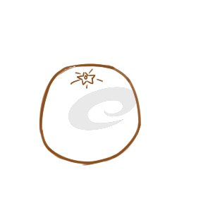 香甜的橙子簡筆怎么畫