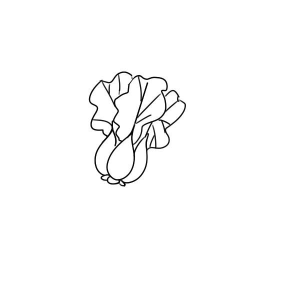 菠菜簡(jiǎn)筆畫小學(xué)生手繪教程