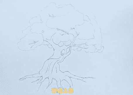 櫻花樹涂色簡筆步驟