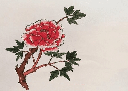 中國國花牡丹簡筆畫步驟