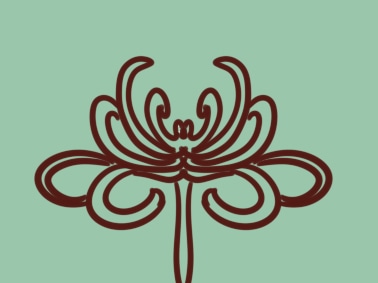 簡單的菊花<a href=http://www.inspiredelm.com/jianbihua/ target=_blank class=infotextkey>簡筆畫</a>圖片怎么畫