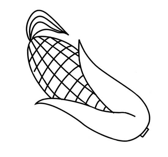 玉米兒童簡筆
