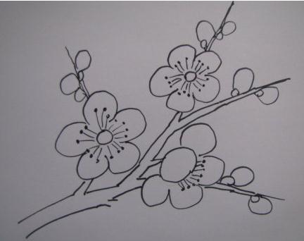 梅花植物兒童簡(jiǎn)筆畫(huà)
