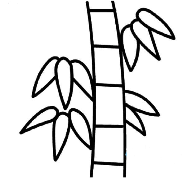 竹子植物簡筆畫