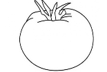 一個(gè)番茄的簡(jiǎn)筆畫(huà)圖片蔬菜簡(jiǎn)筆畫(huà)作品