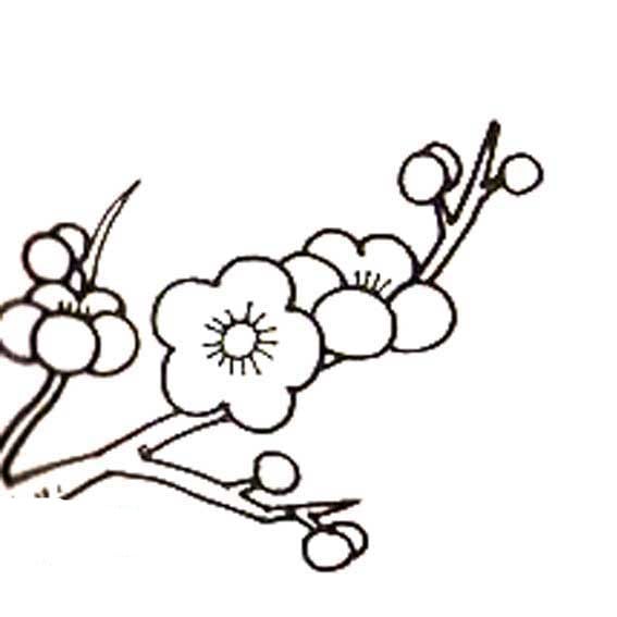 梅花植物簡(jiǎn)筆畫(huà)