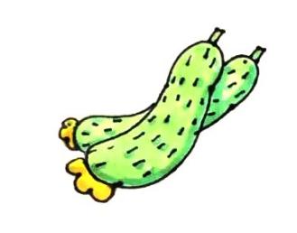 黃瓜的簡(jiǎn)筆畫畫法步驟教程