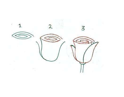 5種簡單玫瑰花簡筆畫畫法