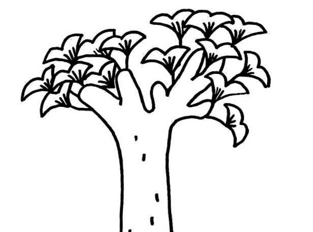 銀杏樹植物簡(jiǎn)筆畫