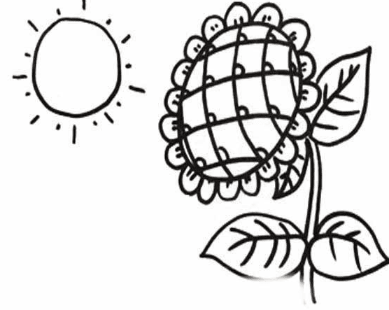 太陽(yáng)花兒童簡(jiǎn)筆