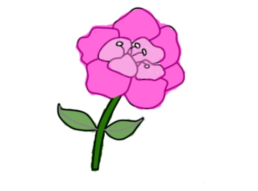 牡丹花簡筆畫畫法步驟教程