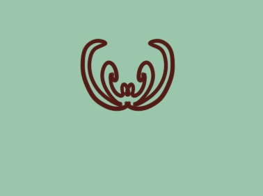 簡單的菊花<a href=http://www.inspiredelm.com/jianbihua/ target=_blank class=infotextkey>簡筆畫</a>圖片怎么畫