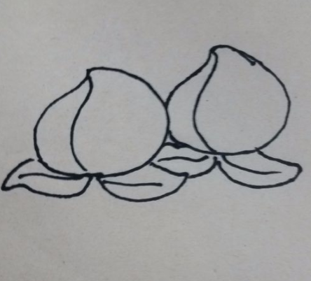 桃子<a href=http://www.inspiredelm.com/jianbihua/ target=_blank class=infotextkey>簡筆畫</a>步驟